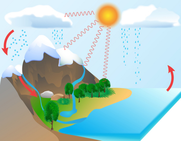 Vandets kredsløb – et undervisningsmateriale til naturteknologi indskoling